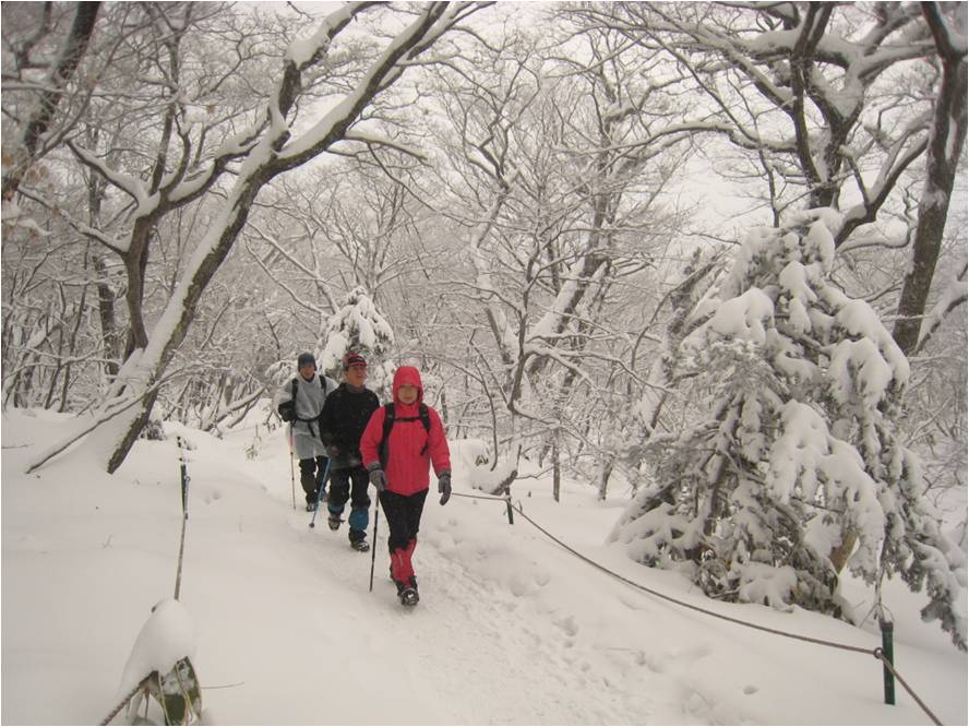 Jeju Olle Walking Trail.jpg