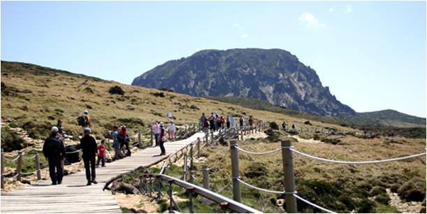 Jeju Olle Walking Trail 1.jpg