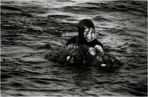 Woman Diver in the Sea.jpg