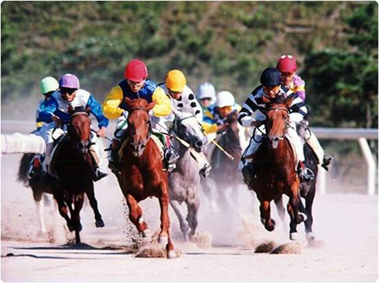 Horse Racing in Jeju.jpg