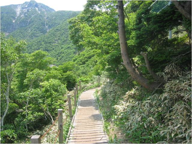 Jeju Olle Walking Trail.jpg