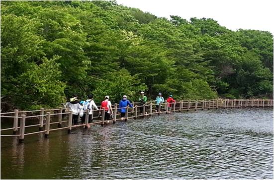 Walking Trail on Lake, Jeju.jpg