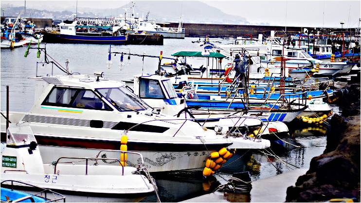 Yachts & Sail Boats in Jeju Port.jpg