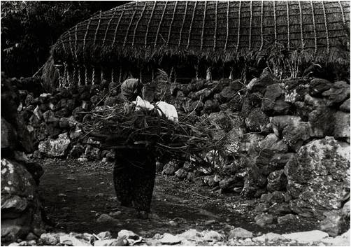 Old Woman Carrying Fire Wood.jpg