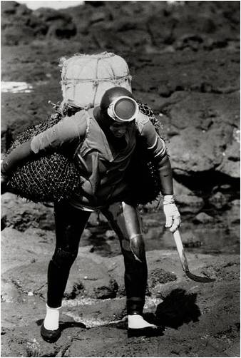 Heavily Equipped Woman Diver at Work, Jeju Island.jpg