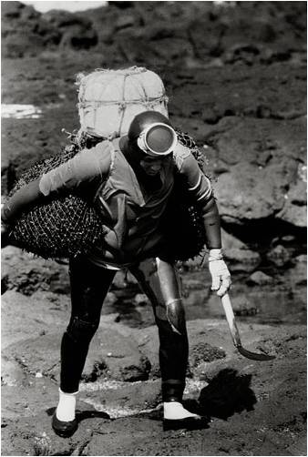 Heavily Equipped Woman Diver at Work, Jeju Island.jpg