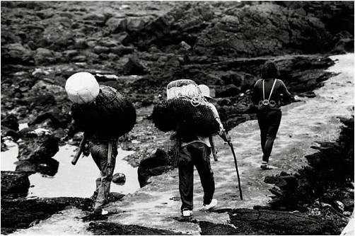 Women Divers, Jeju Island.jpg